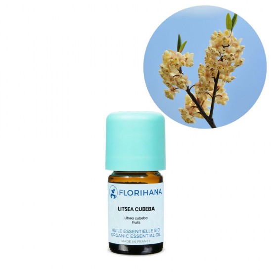 Litsea Cubeba (May Chang) Organic